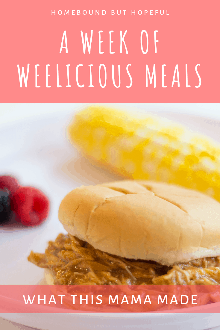 I tried out a full week of Weelicious meals, to see what my family thought of some healtheir meal options. Check out what we loved, and what we likely won't make again. #Weelicious #mealplanning #menuplan #familydinner #weeliciousmeals #cookbook #homecooked