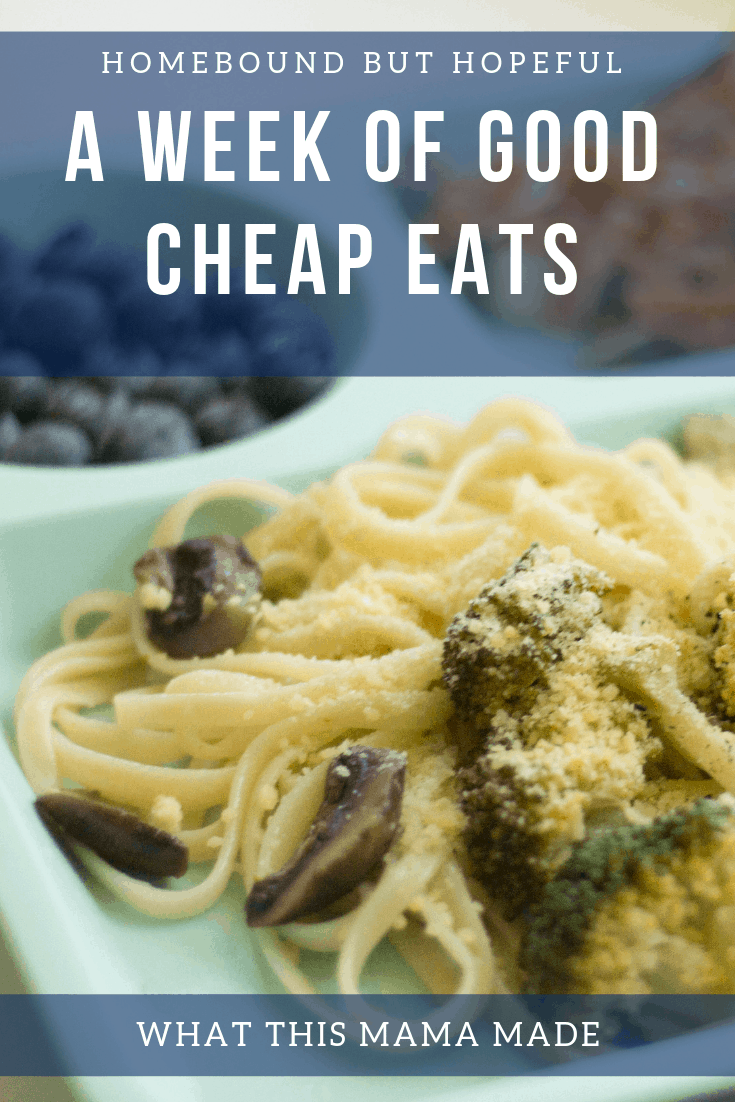 I tried out a full week of meals from Good Cheap Eats, to see what my family thought of some quick and easy meal options. Check out what we loved, and what we likely won't make again. #GoodCheapEats #mealplanning #menuplan #familydinner #menuplanning #cookbook #homecooked #cookbooks